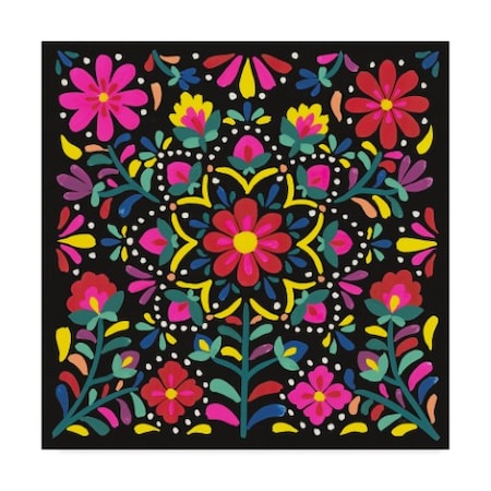 Laura Marshall 'Floral Fiesta Ii' Canvas Art,35x35